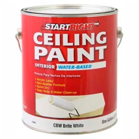GENERAL PAINT Start Right Ceiling Paint, Flat Finish, Brite White, Gallon - 734665 734665